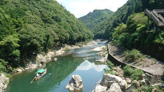 �g���b�R�ےË��w���̌j��������